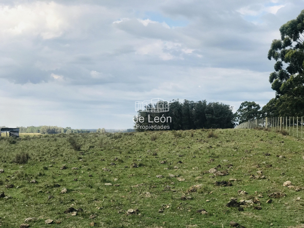Campo en venta sobre Ruta 104 La Barra - GoPunta - Portal Inmobiliario de Punta del Este - Maldonado