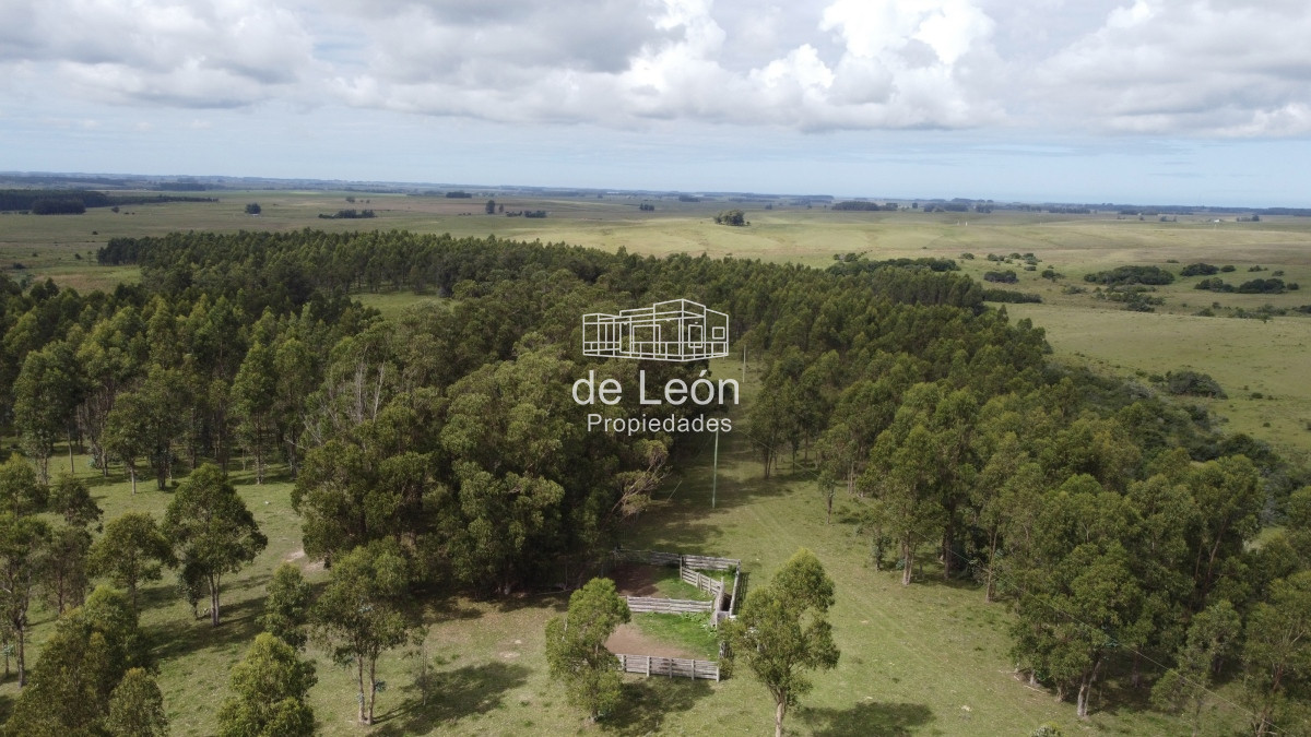 Campo Ref.15030 - Campo de 123 has en Garzon por camino Sainz Martinez