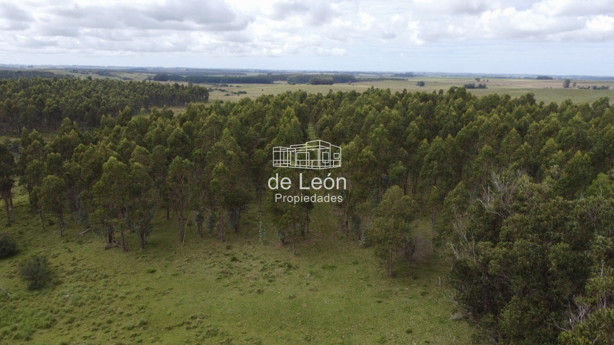 Campo Ref.15030 - Campo de 123 has en Garzon por camino Sainz Martinez