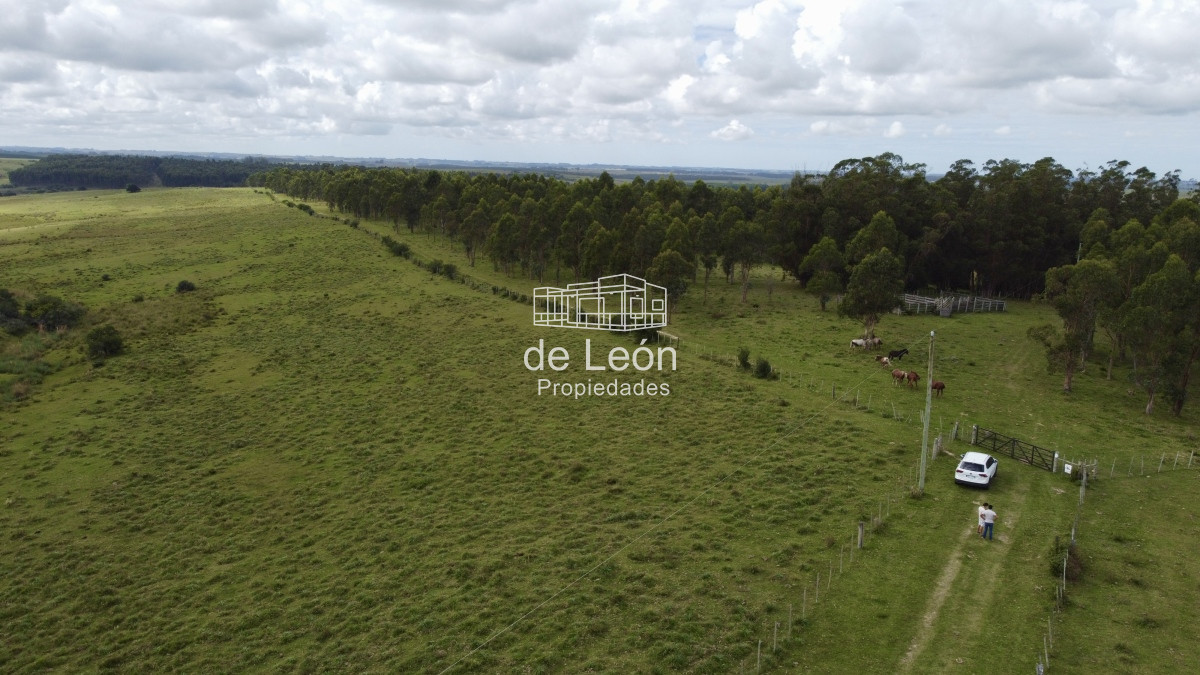 Campo Ref.15030 - Campo de 123 has en Garzon por camino Sainz Martinez