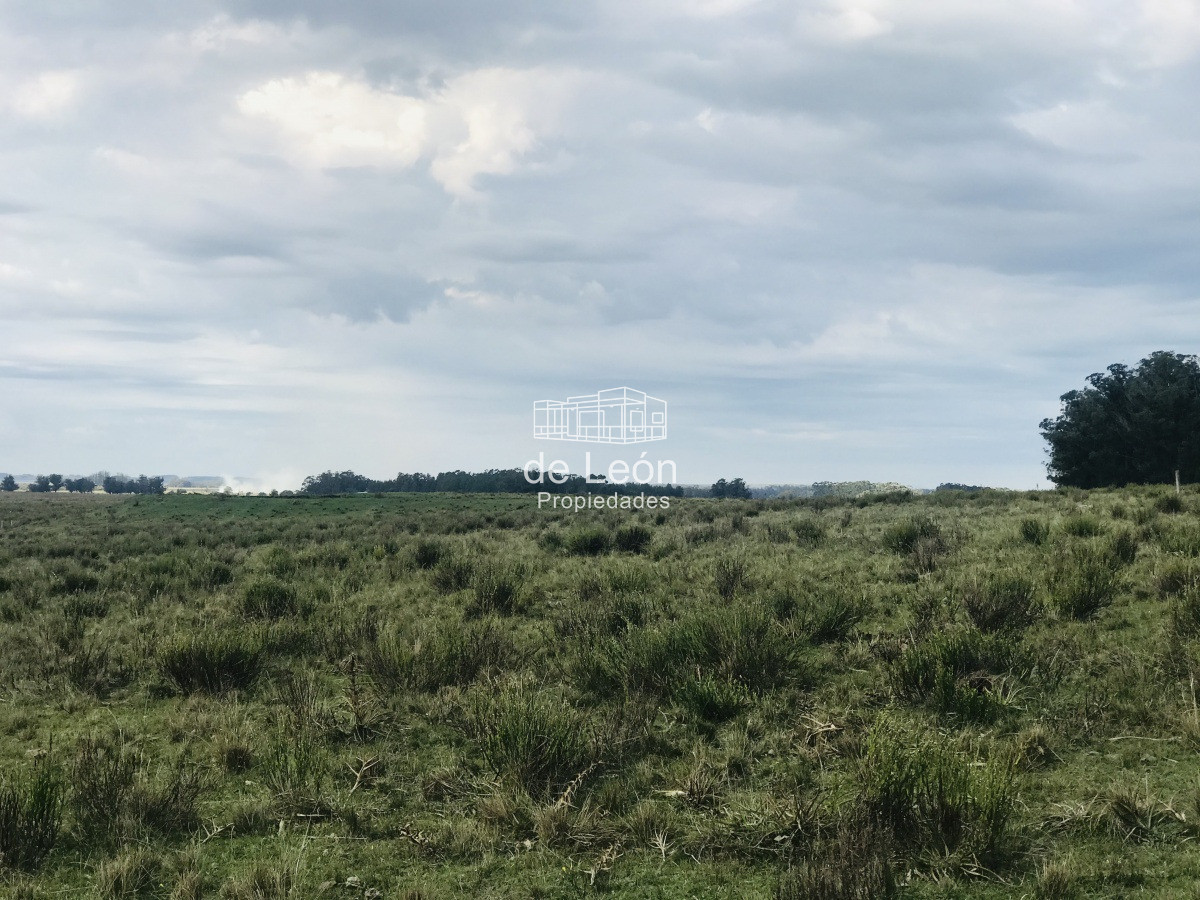 Campo en venta sobre Ruta 104 La Barra - GoPunta - Portal Inmobiliario de Punta del Este - Maldonado
