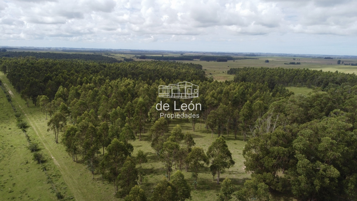 Campo Ref.15030 - Campo de 123 has en Garzon por camino Sainz Martinez