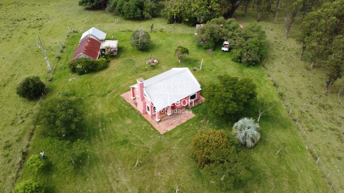 Campo Ref.15030 - Campo de 123 has en Garzon por camino Sainz Martinez
