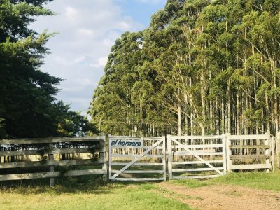 Campo en venta sobre Ruta 104 La Barra