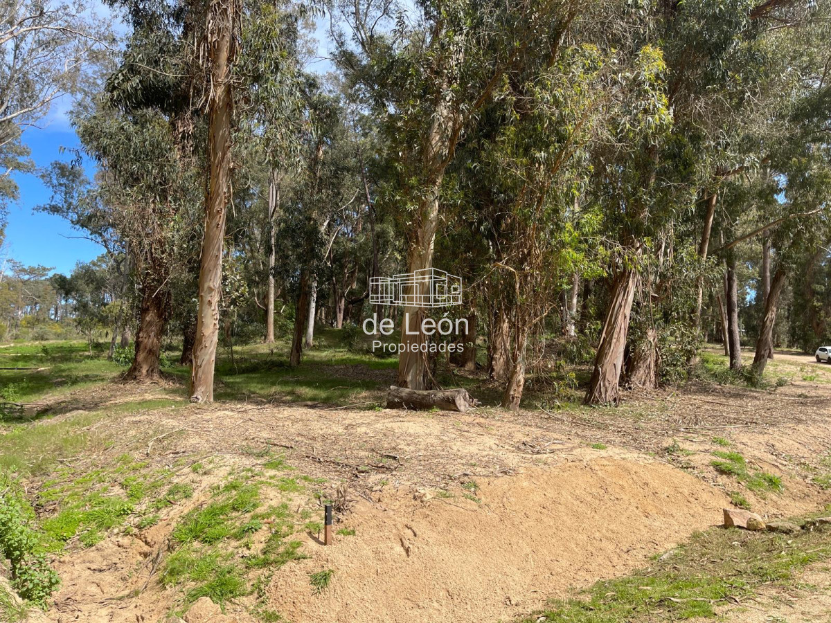 Terreno ID.15130 - Reserva Montoya lote en venta