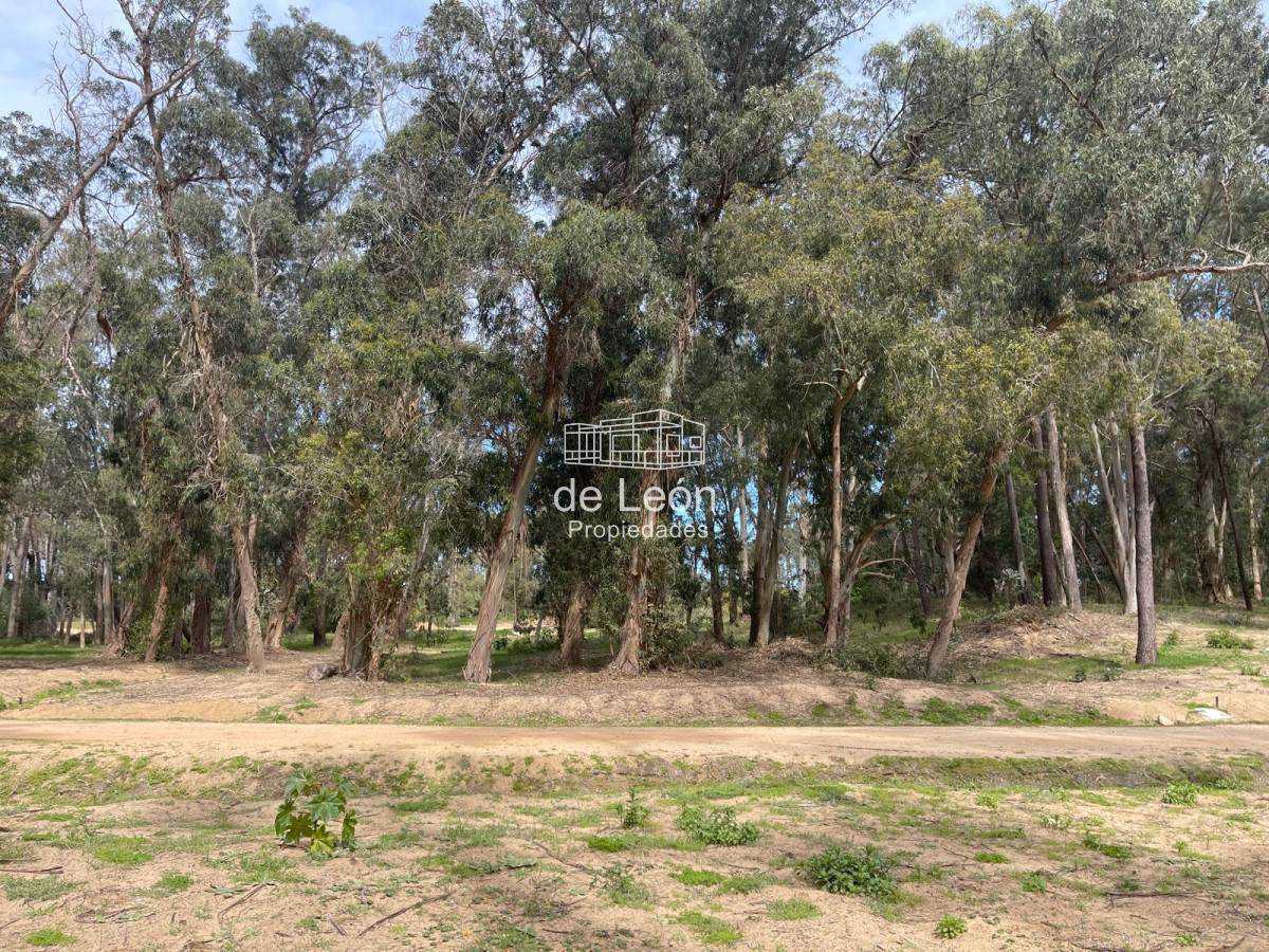 Terreno ID.15130 - Reserva Montoya lote en venta