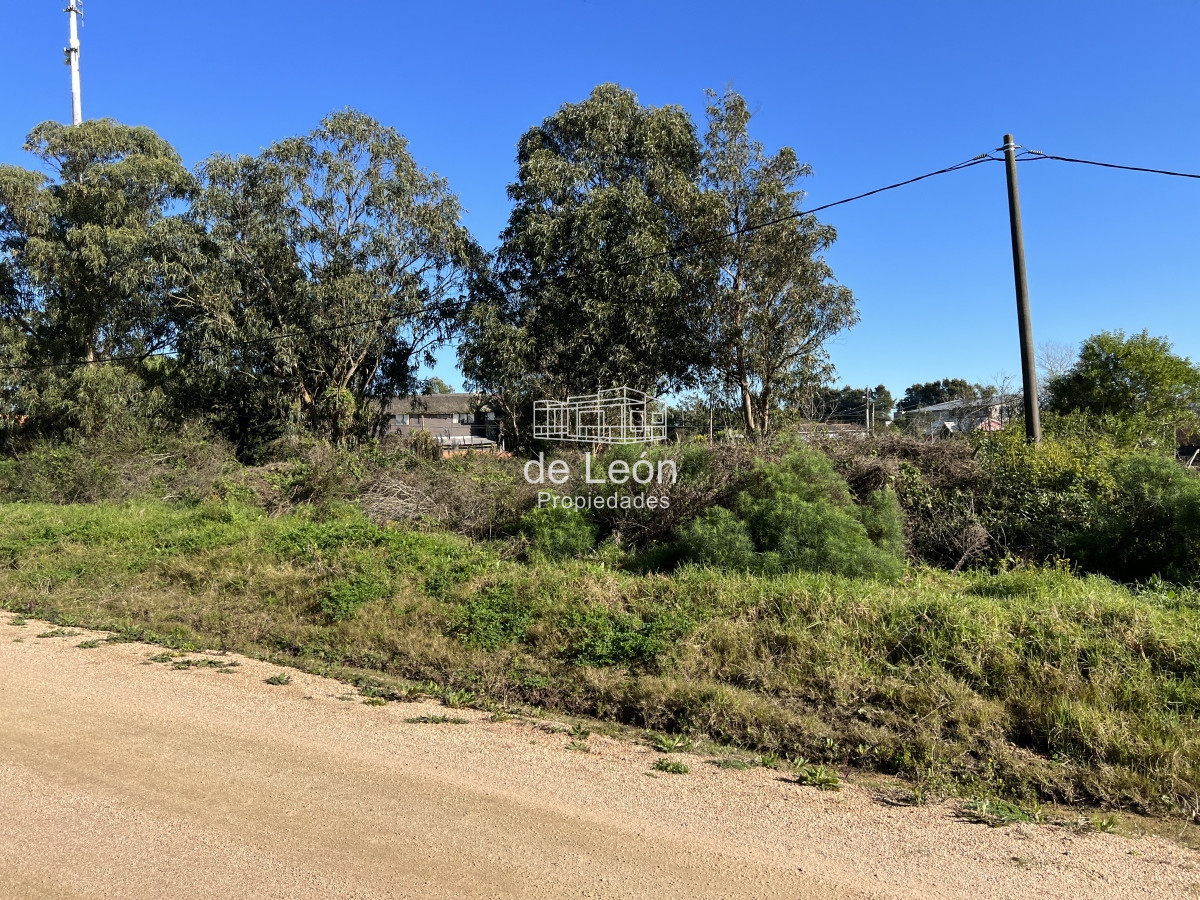 Terreno ID.858 - Terreno en El Chorro, 547m2, sobre calle Tiburones