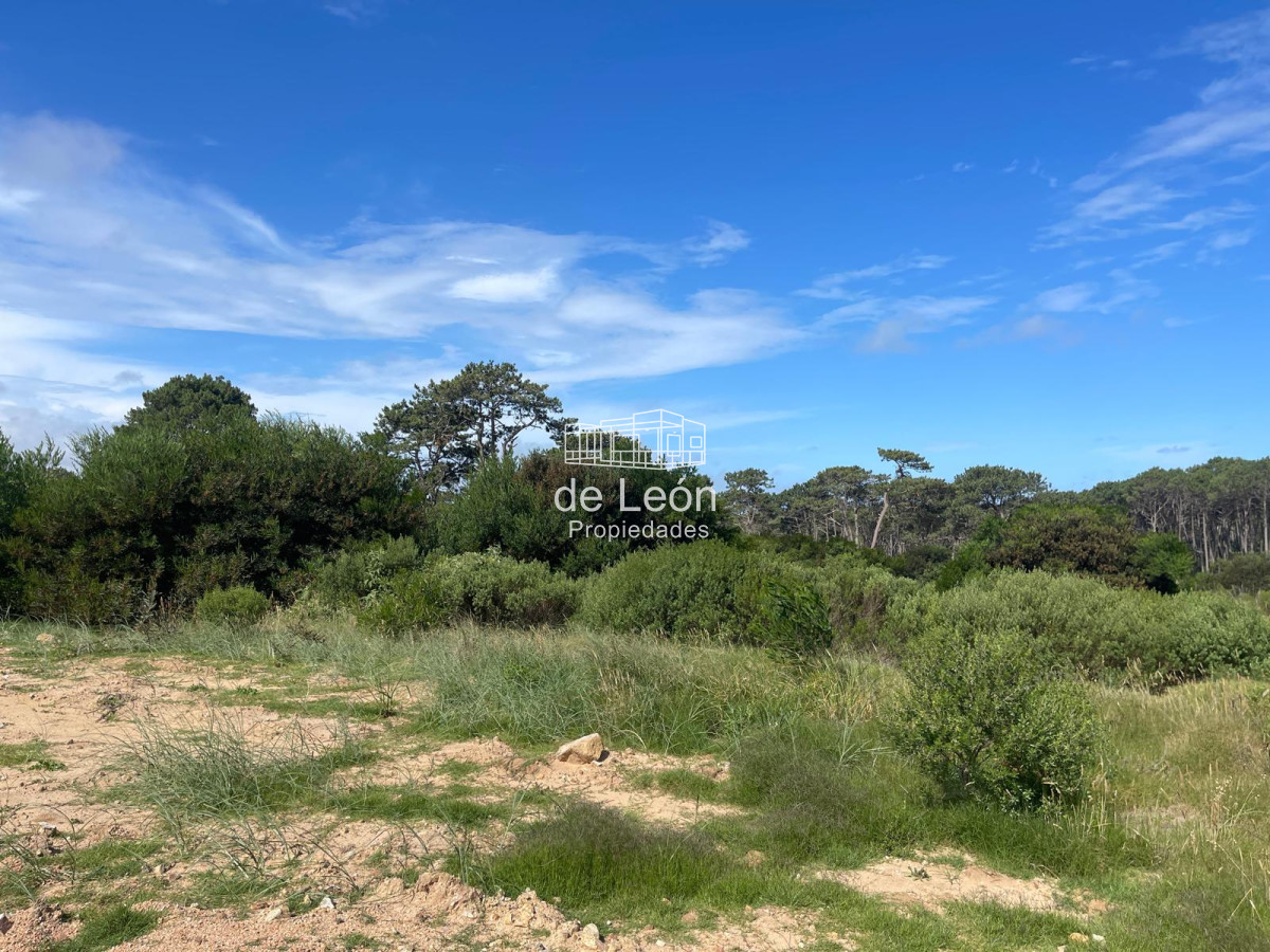 Terreno ID.14924 - Exclusivo lote en Reserva Montoya, La Barra
