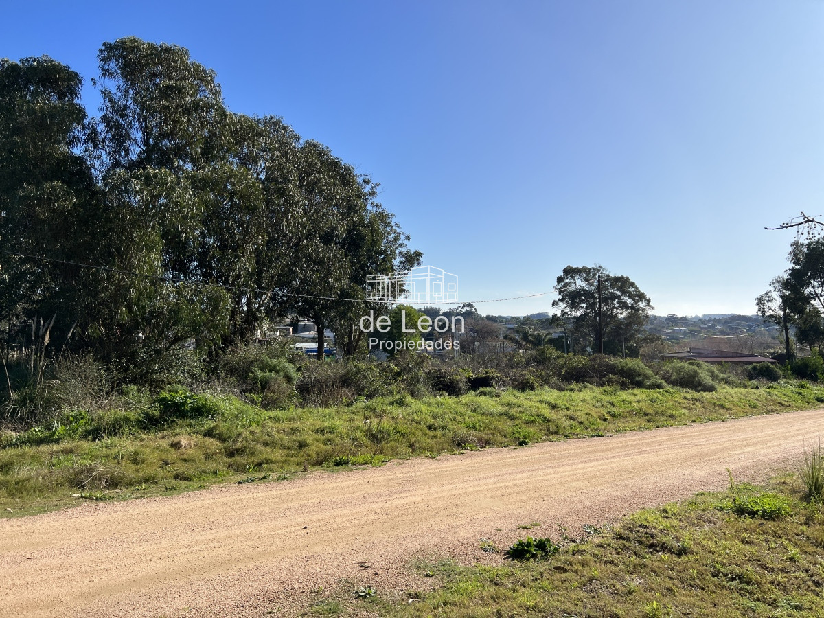 Terreno ID.859 - Terreno en El Chorro sobre calle Brótolas, 501m2