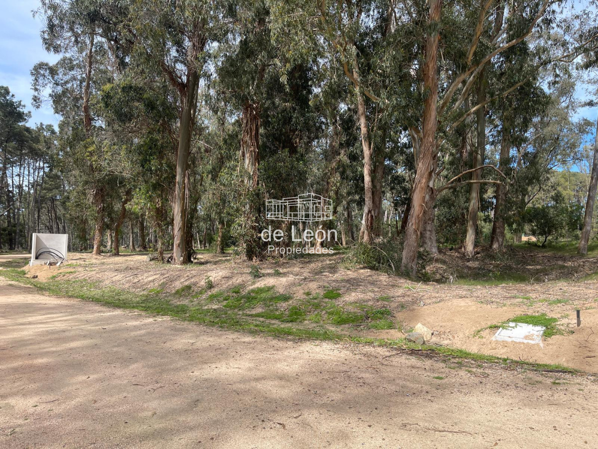 Terreno ID.15130 - Reserva Montoya lote en venta