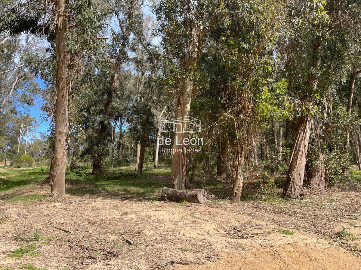 Terreno ID.15130 - Reserva Montoya lote en venta