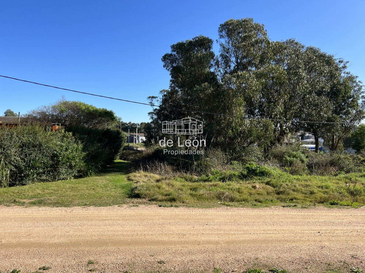 Terreno ID.859 - Terreno en El Chorro sobre calle Brótolas, 501m2