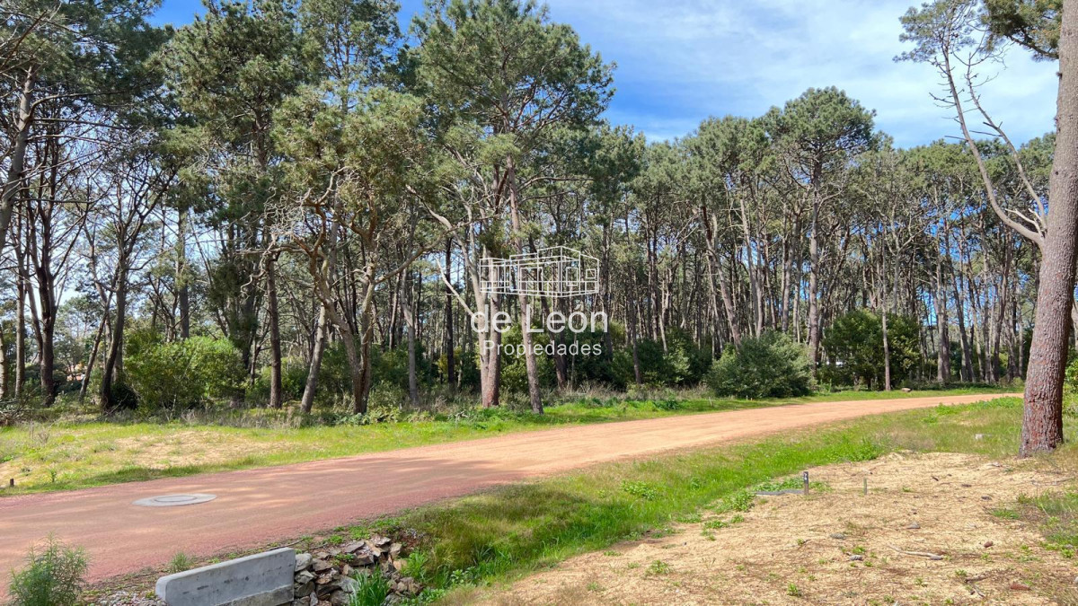 Terreno ID.15128 - Excelente lote sobre la laguna en Reserva Montoya, La Barra