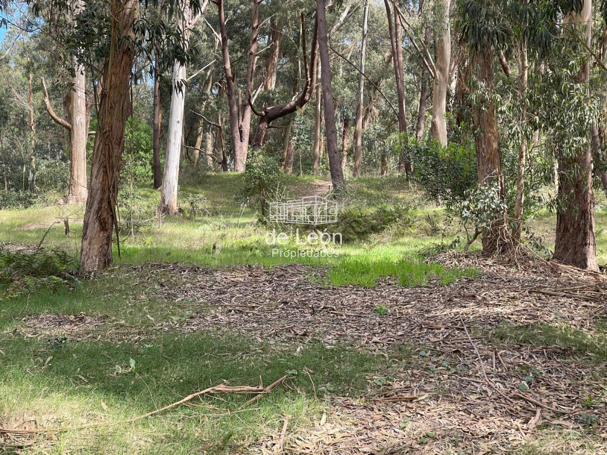 Terreno ID.15130 - Reserva Montoya lote en venta