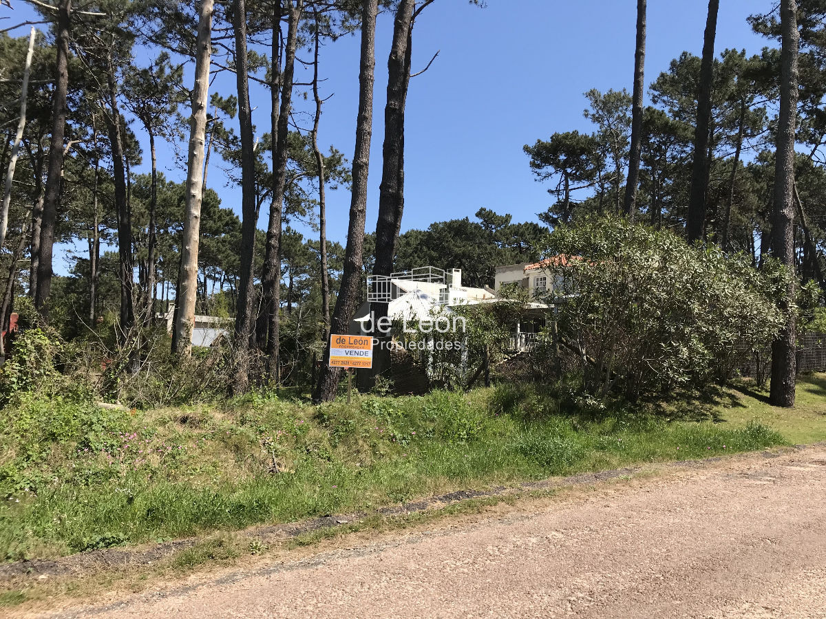 Terreno ID.555 - Buen lote en venta en Montoya, La Barra