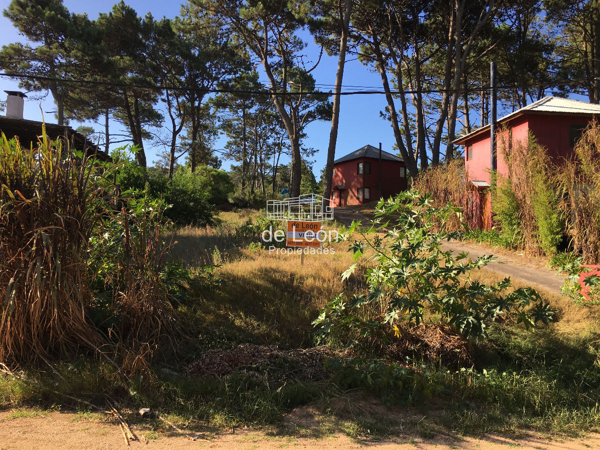 Terreno ID.743 - Oportunidad terreno en venta en Montoya, La Barra