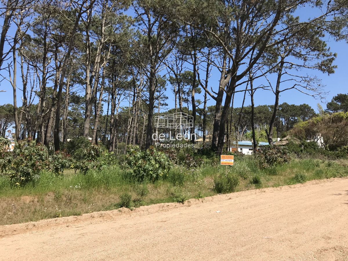 Terreno ID.785 - Terreno en La Barra, Montoya