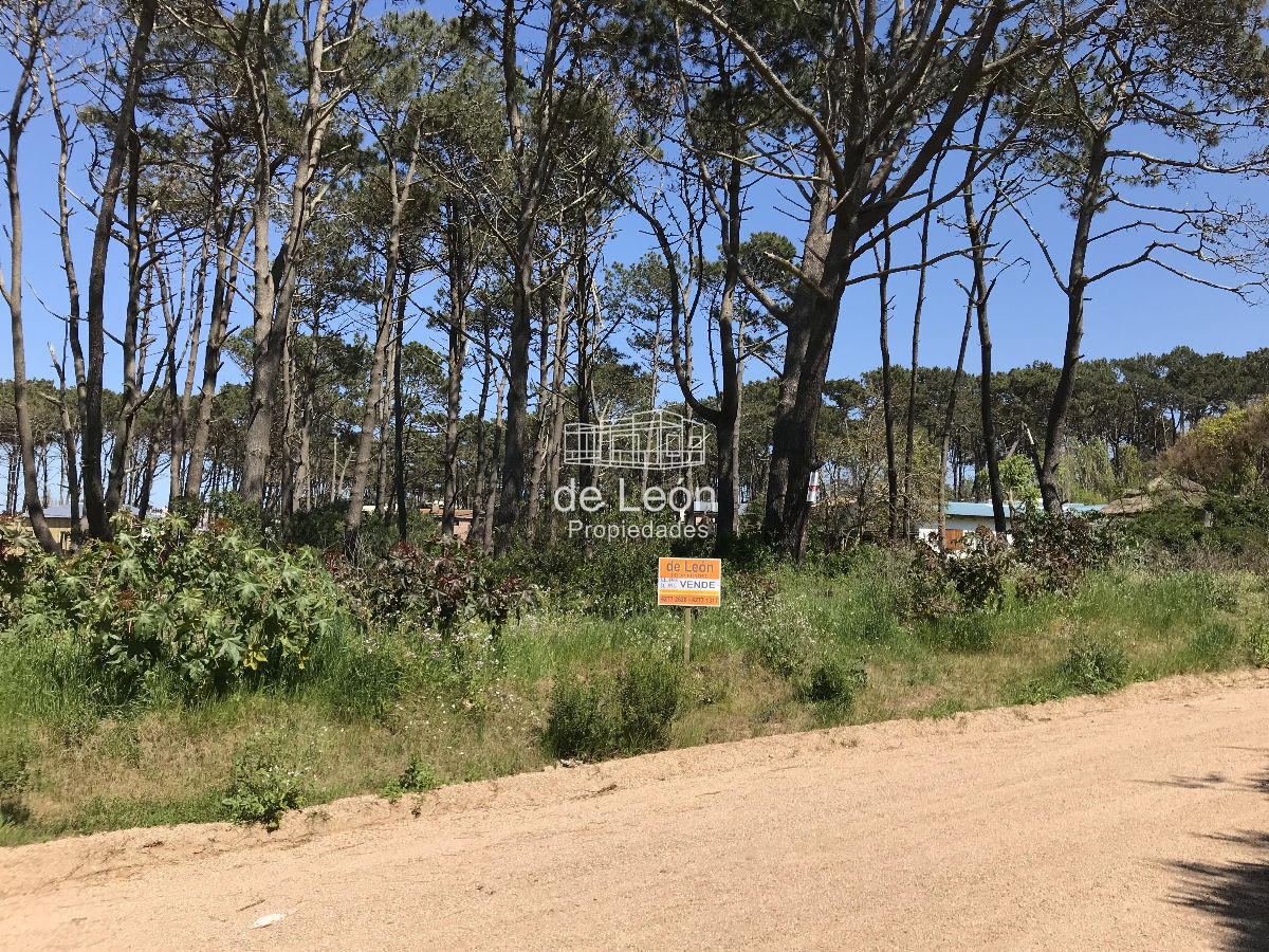Terreno ID.785 - Terreno en La Barra, Montoya