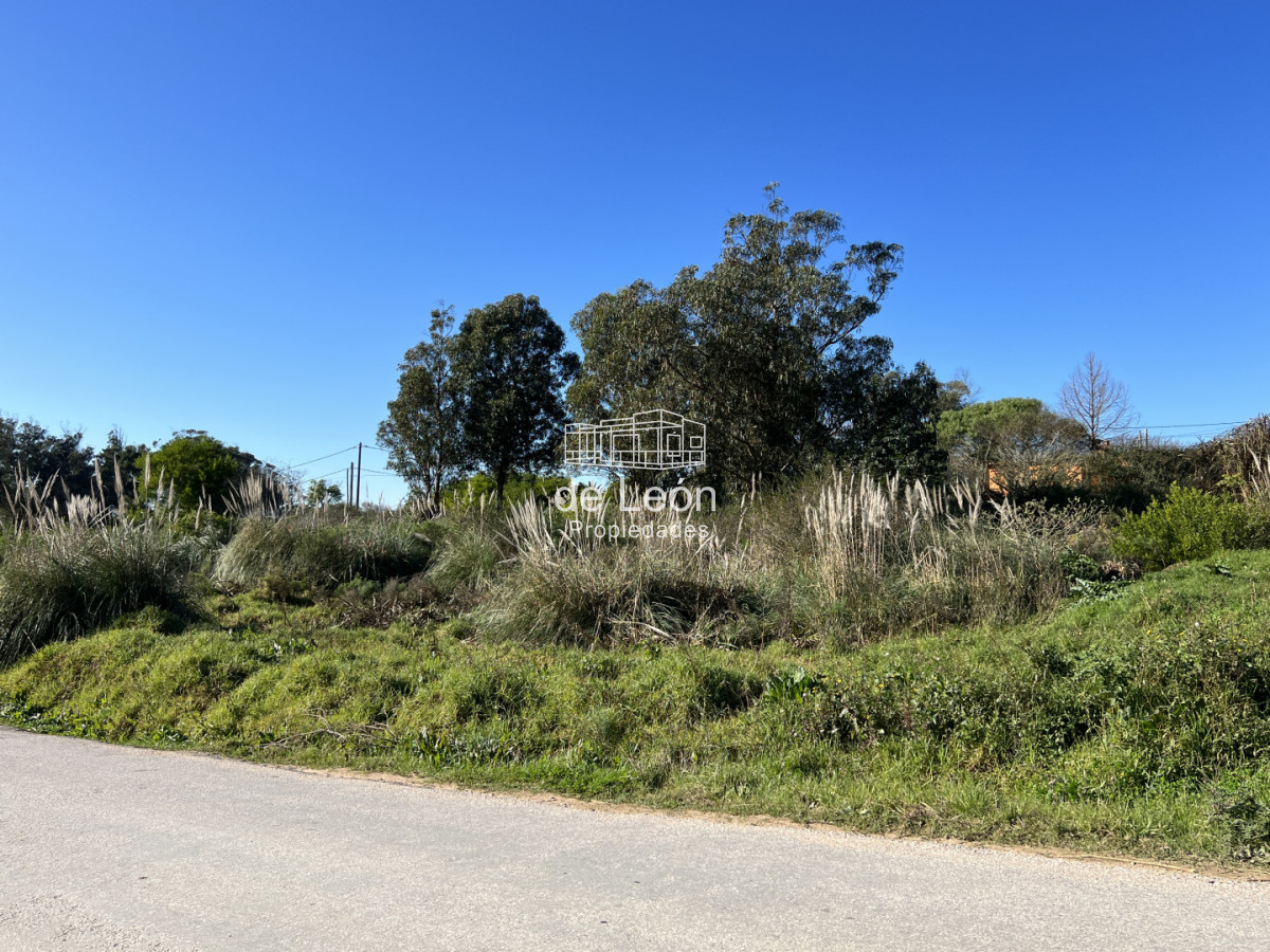 Terreno ID.15372 - Terreno en El Chorro, 3 padrones juntos total 1.549m2