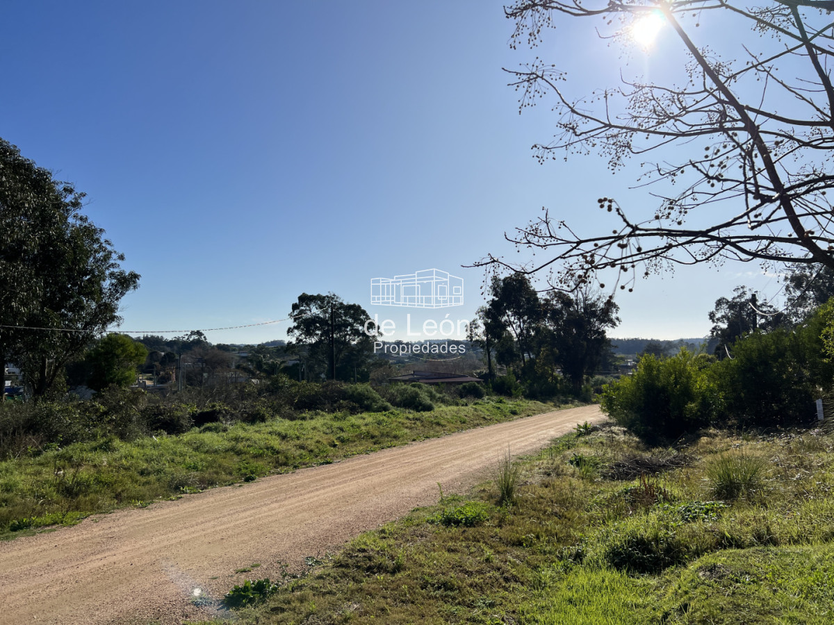 Terreno ID.15372 - Terreno en El Chorro, 3 padrones juntos total 1.549m2