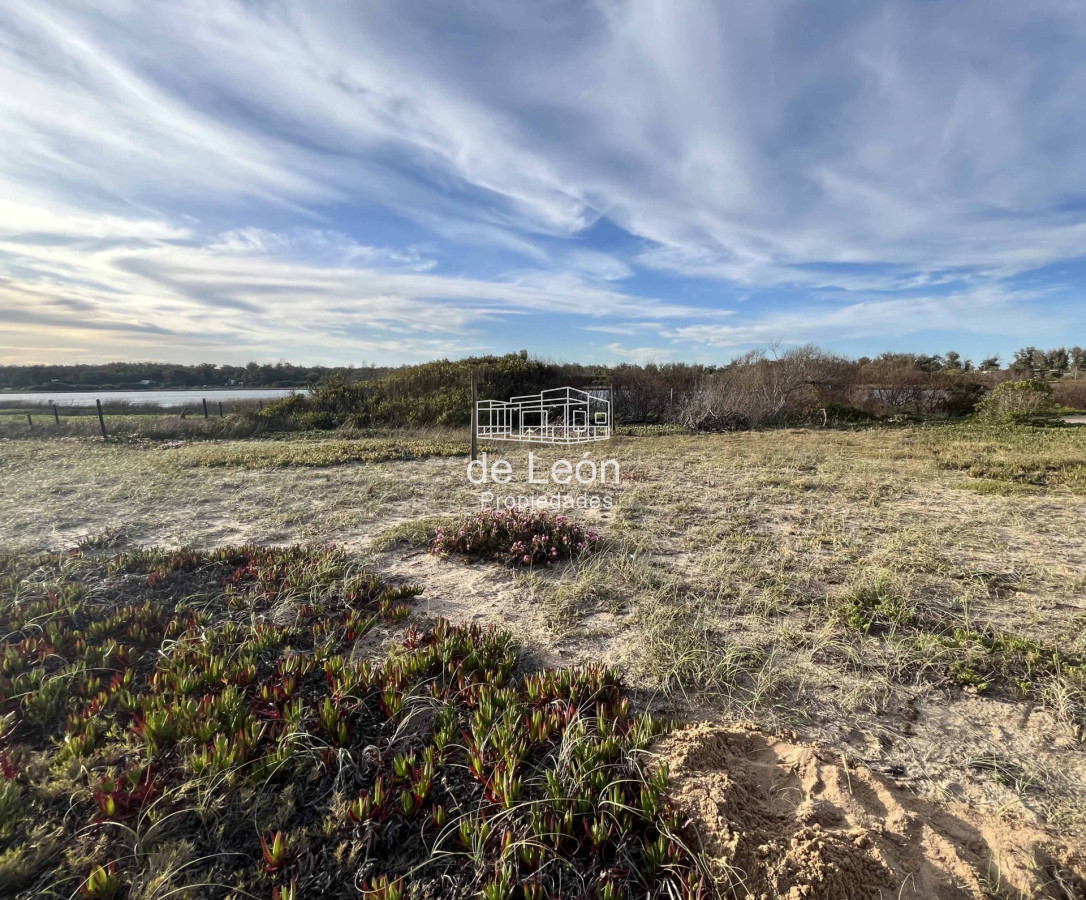 Terreno ID.15216 - Terreno sobre la laguna en Santa Monica, Jose Ignacio