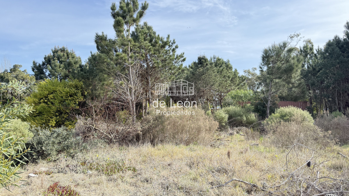 Barra Verde - GoPunta - Portal Inmobiliario de Punta del Este - Maldonado