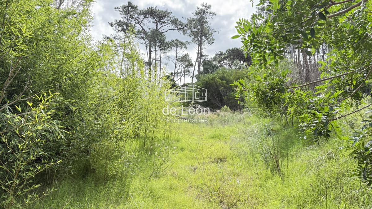 Terreno ID.569 - Terreno en Montoya de 600m2 a 4 cuadras del mar