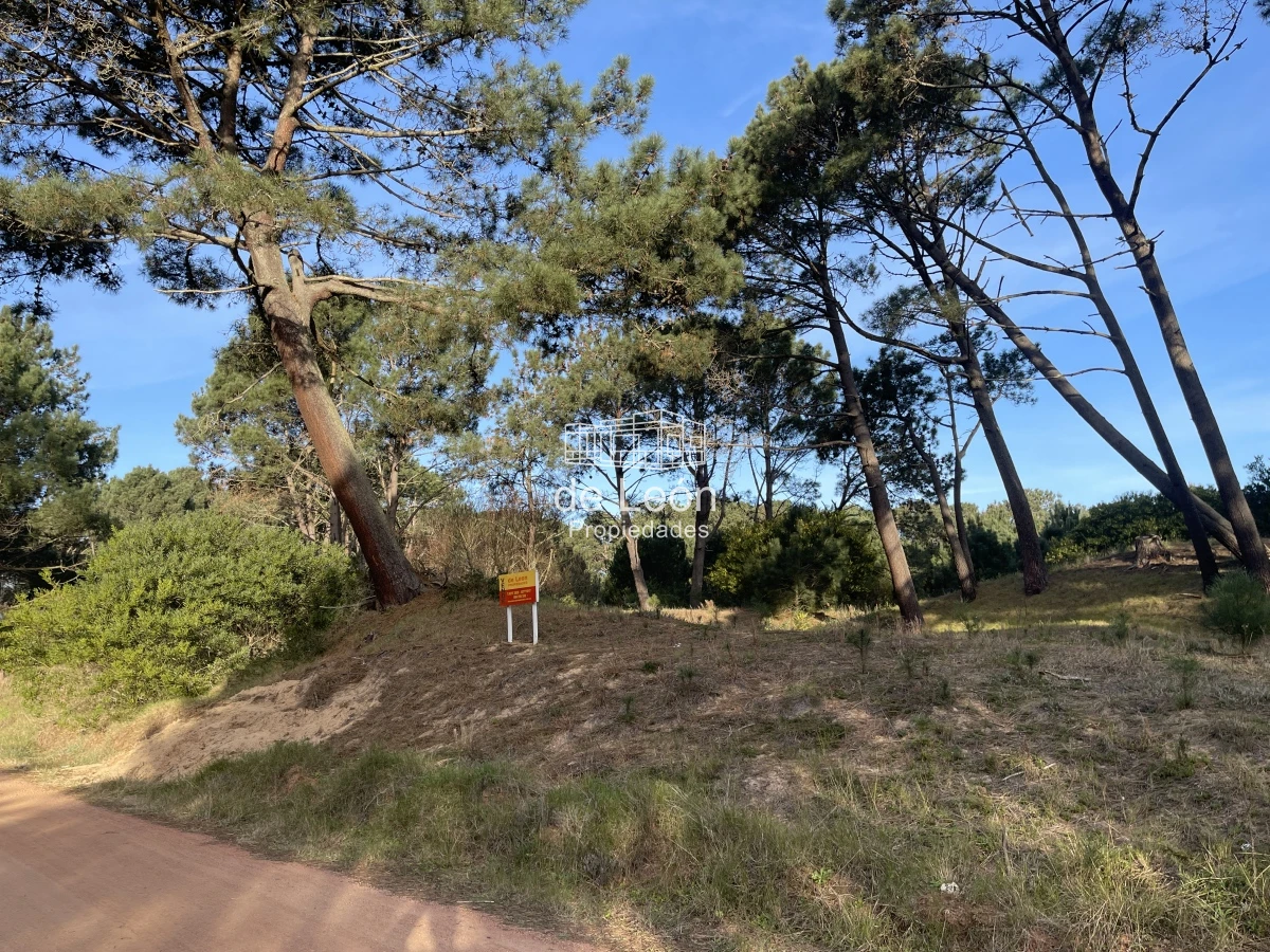 Terreno ID.1483 - Lote en venta de 2600 metros en Barra Verde, La Barra