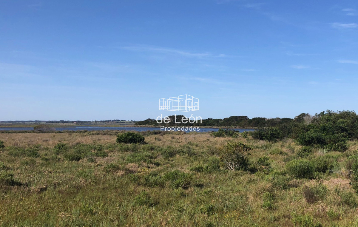 Santa Monica - GoPunta - Portal Inmobiliario de Punta del Este - Maldonado