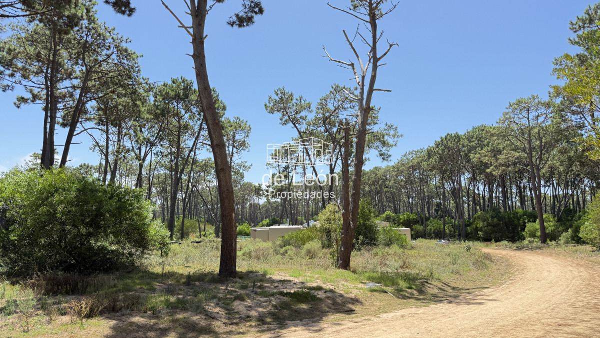 Terreno ID.14984 - Exclusivo lote en Reserva Montoya, La Barra
