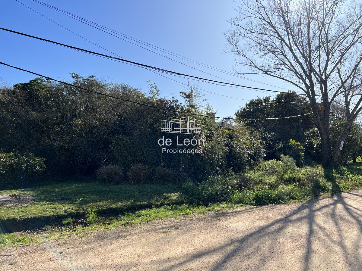 El Chorro - GoPunta - Portal Inmobiliario de Punta del Este - Maldonado
