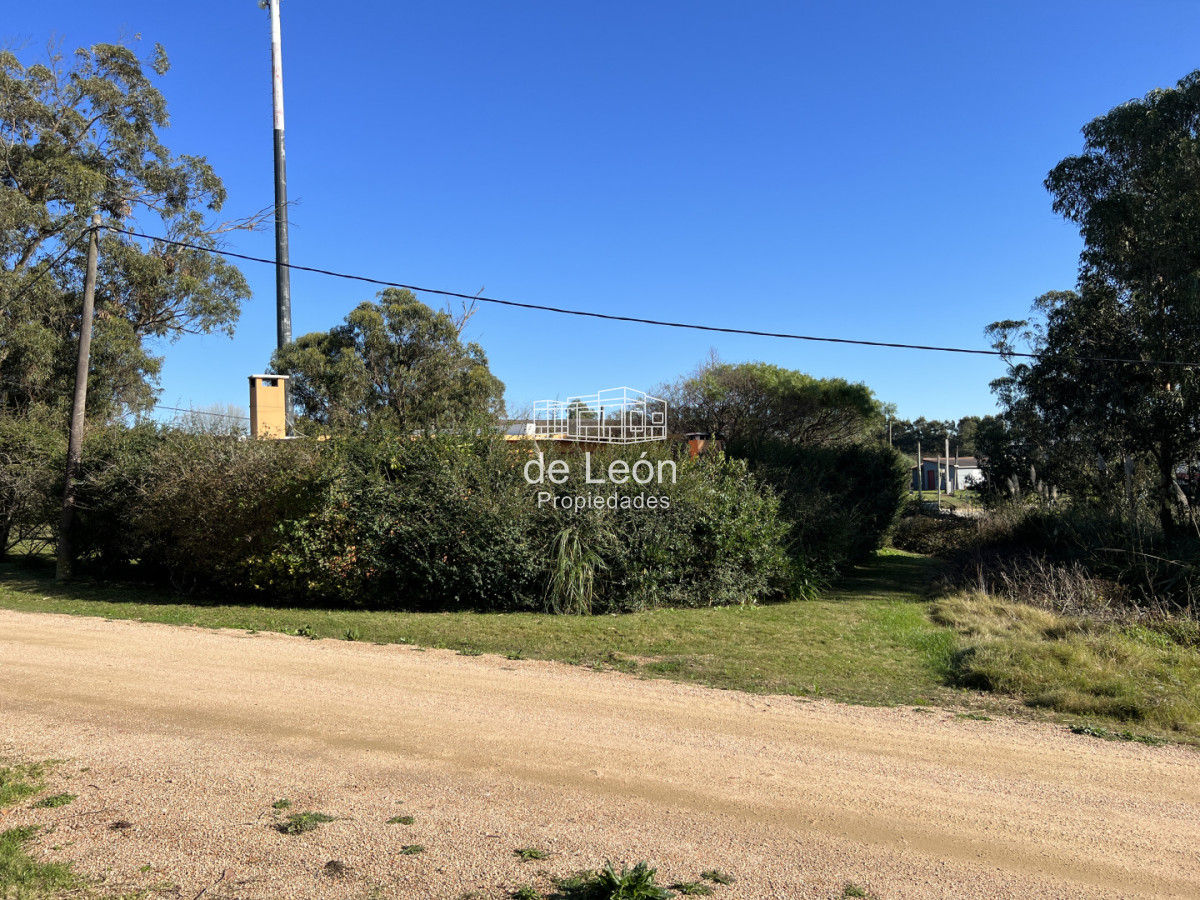 Terreno ID.15372 - Terreno en El Chorro, 3 padrones juntos total 1.549m2