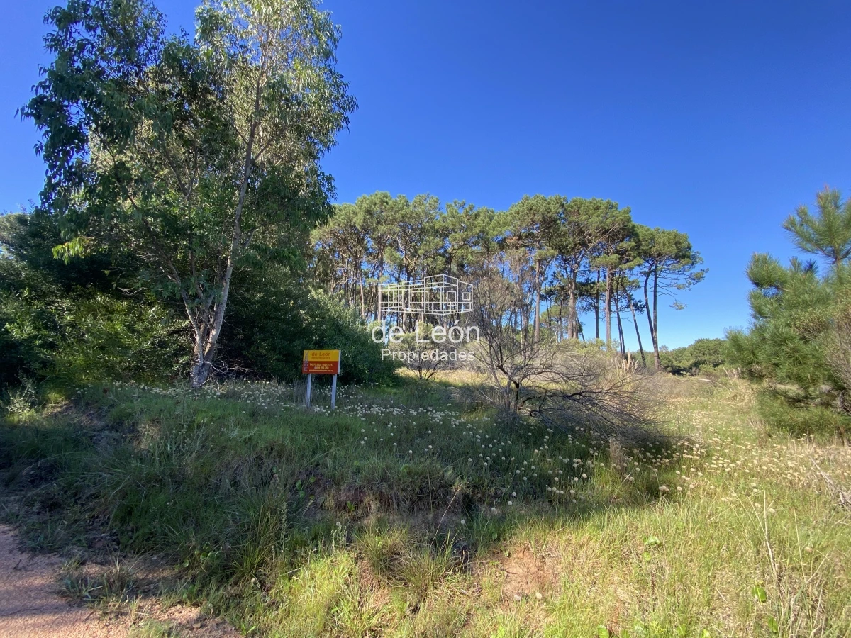 Terreno ID.1483 - Lote en venta de 2600 metros en Barra Verde, La Barra