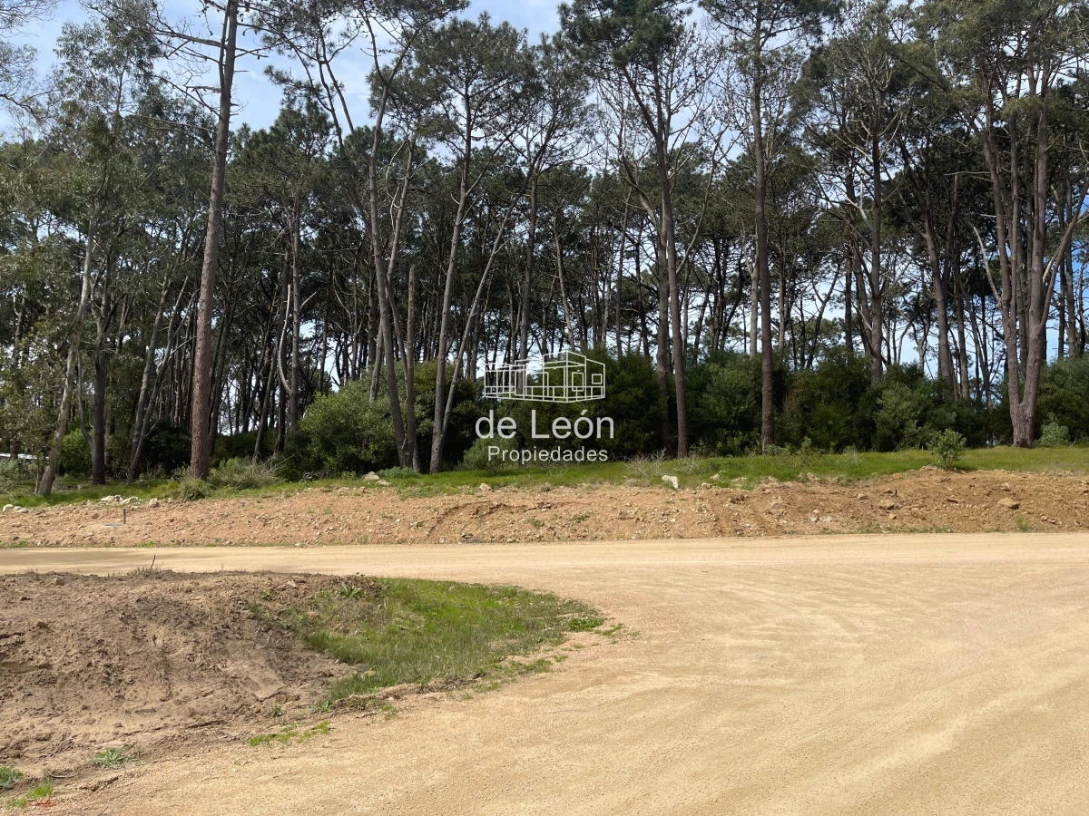 Terreno ID.14923 - Lote en Venta en Reserva Montoya, La Barra