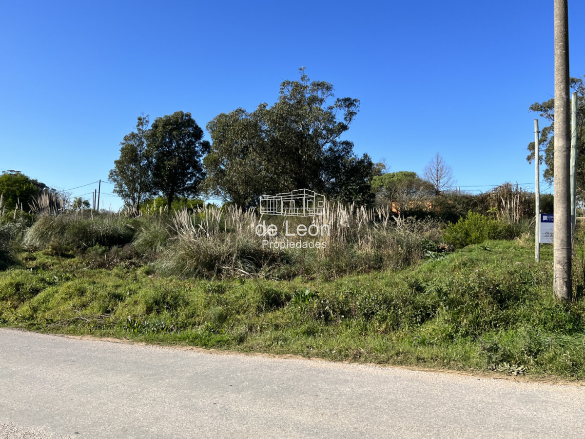 Terreno ID.15372 - Terreno en El Chorro, 3 padrones juntos total 1.549m2