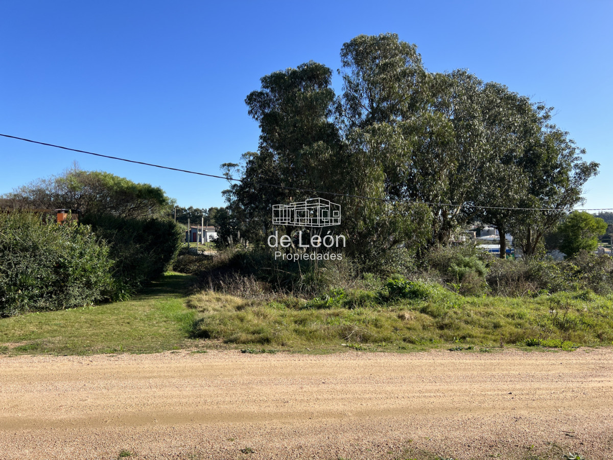 Terreno ID.15372 - Terreno en El Chorro, 3 padrones juntos total 1.549m2