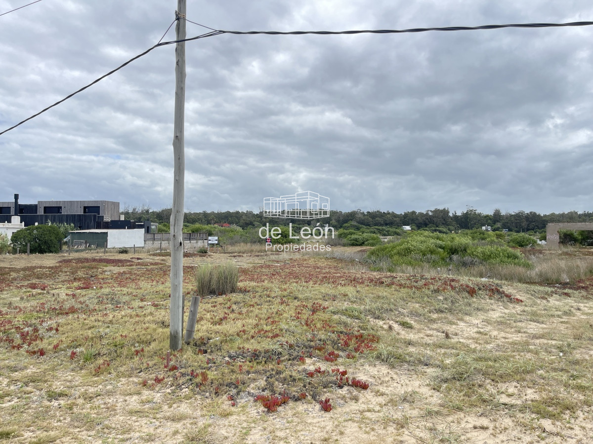 Terreno ID.14757 - Lote de 2278m2 frente al mar en Santa Monica, Jose Ignacio
