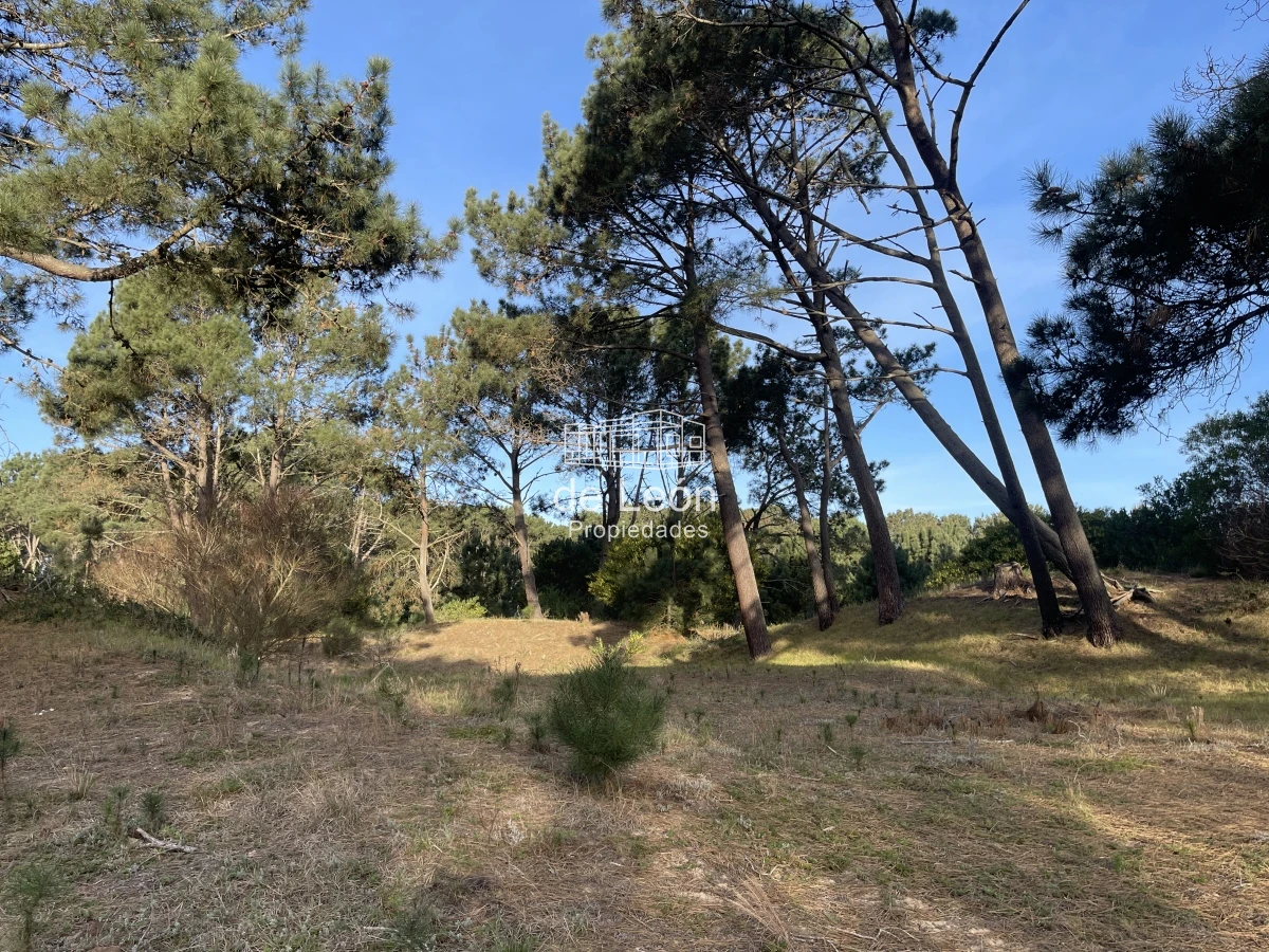 Terreno ID.1483 - Lote en venta de 2600 metros en Barra Verde, La Barra