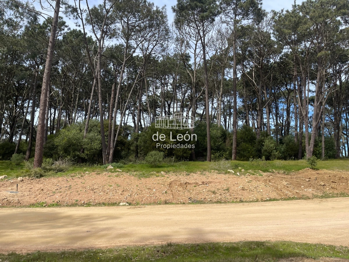 Terreno ID.14923 - Lote en Venta en Reserva Montoya, La Barra