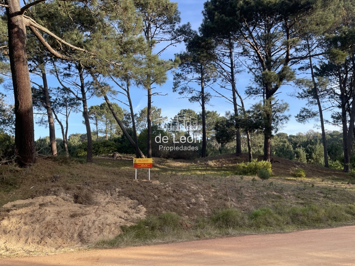 Terreno ID.1483 - Lote en venta de 2600 metros en Barra Verde, La Barra