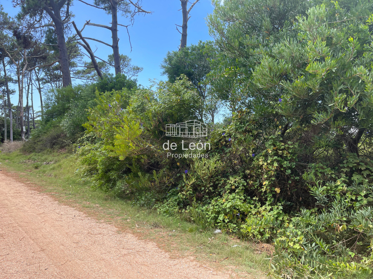 Montoya - GoPunta - Portal Inmobiliario de Punta del Este - Maldonado