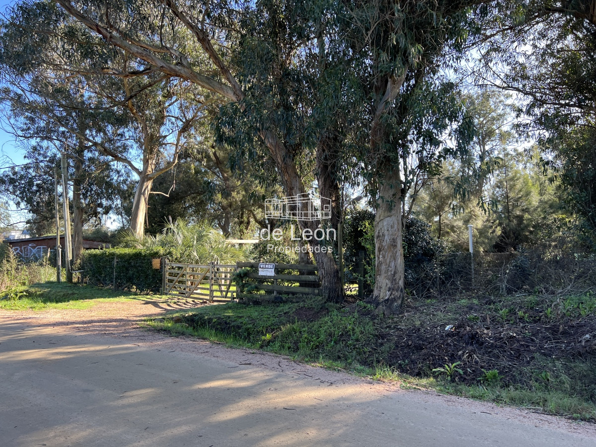 El Chorro - GoPunta - Portal Inmobiliario de Punta del Este - Maldonado