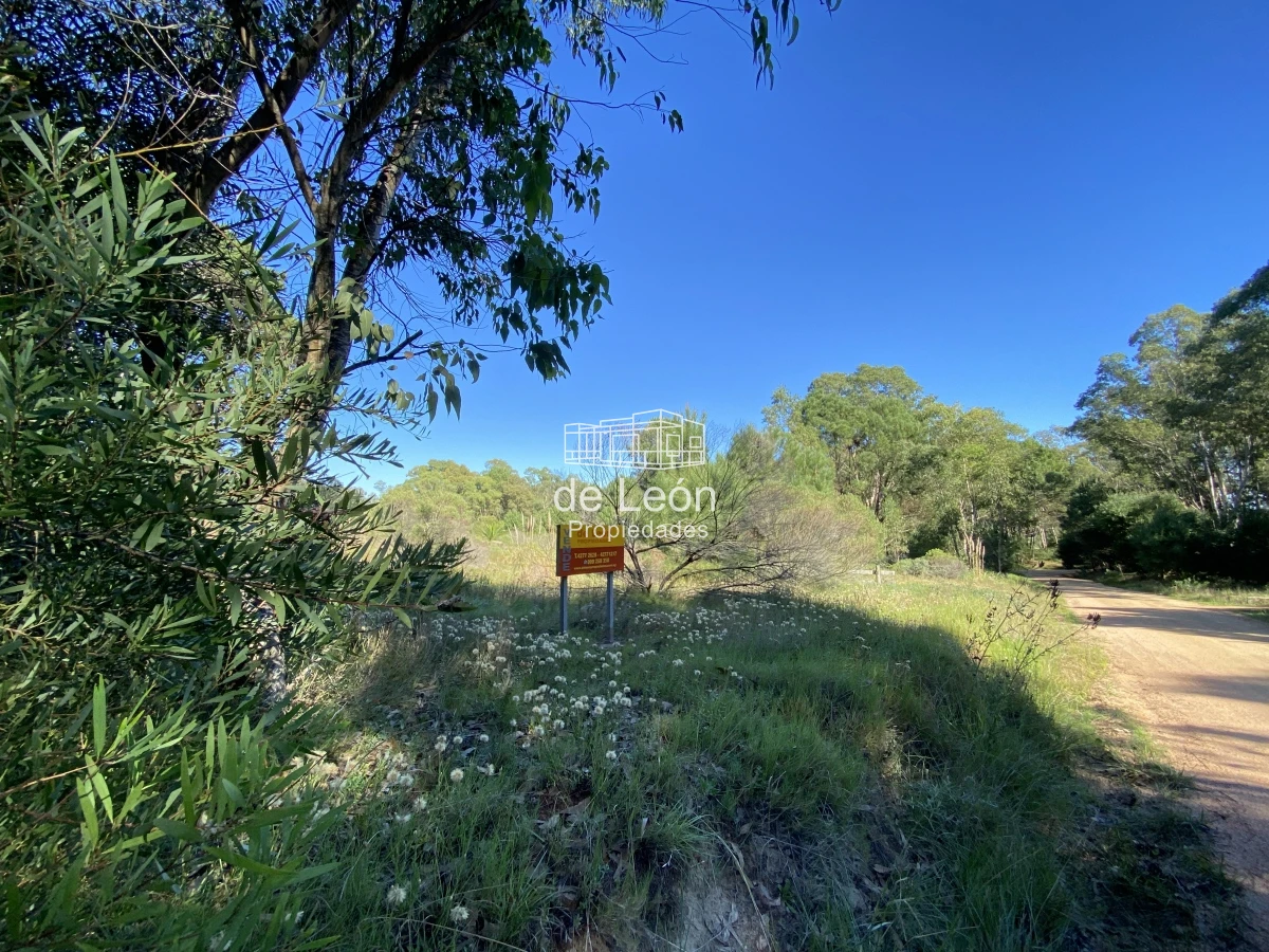 Terreno ID.1483 - Lote en venta de 2600 metros en Barra Verde, La Barra