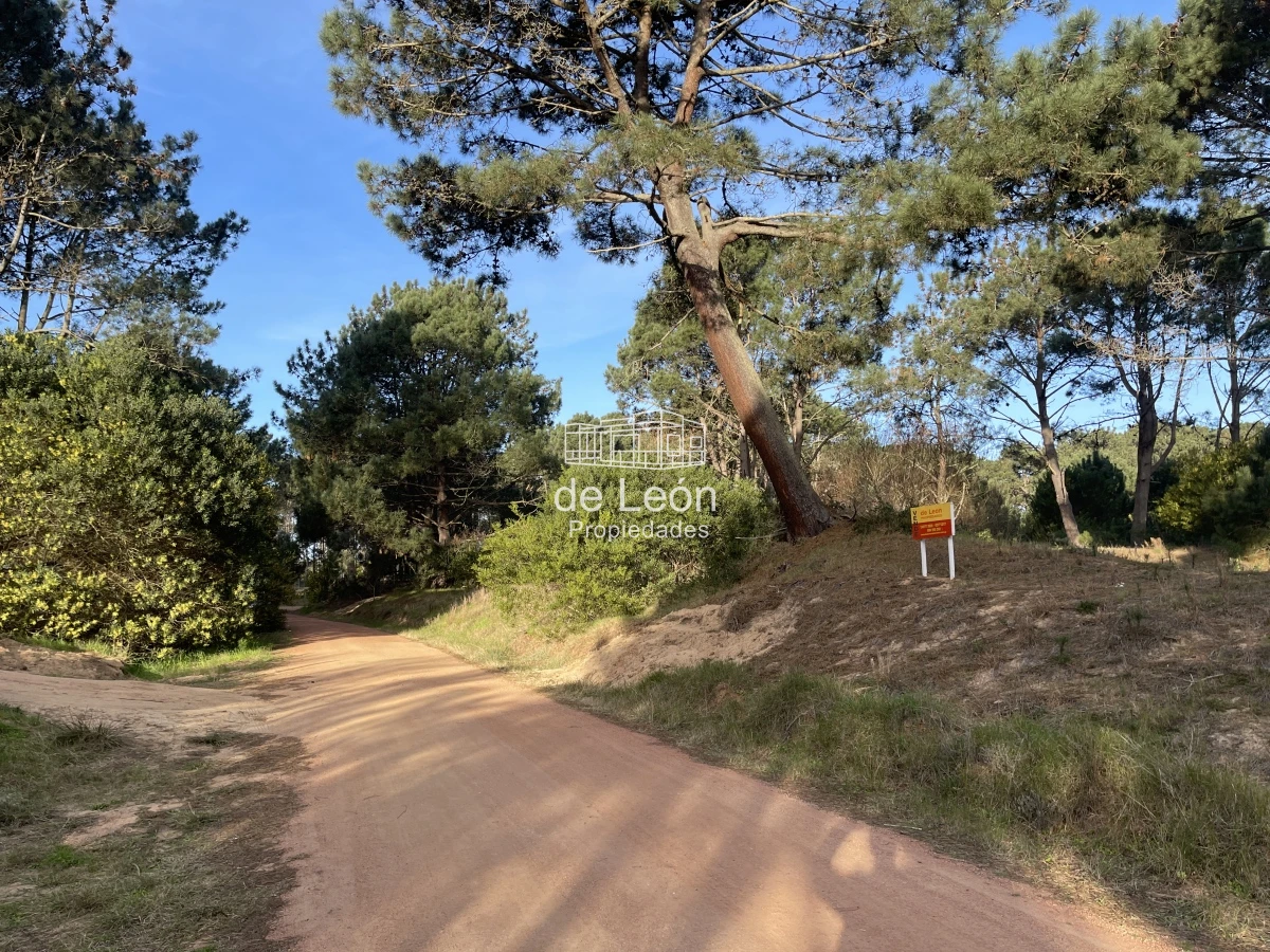 Terreno ID.1483 - Lote en venta de 2600 metros en Barra Verde, La Barra