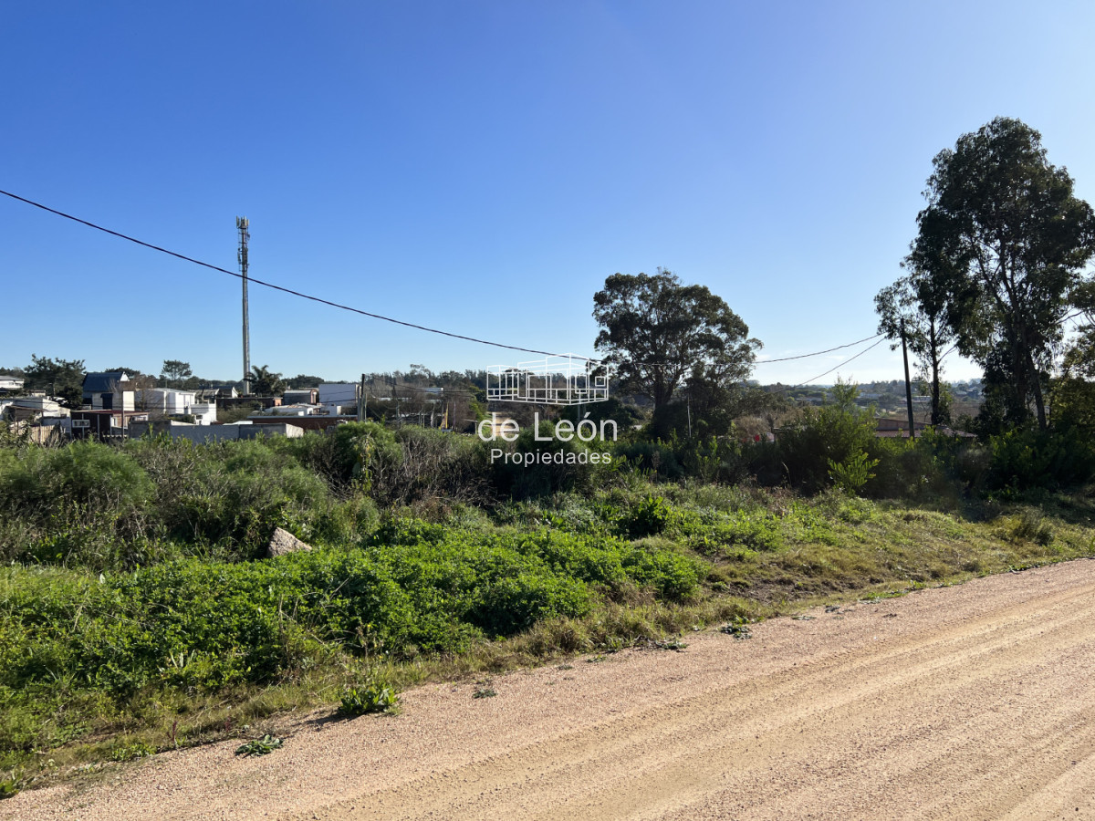 Terreno ID.15372 - Terreno en El Chorro, 3 padrones juntos total 1.549m2