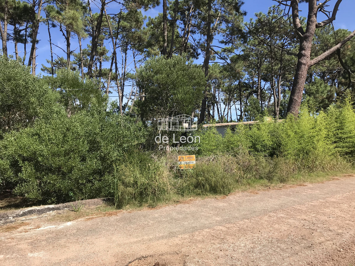 Terreno ID.1247 - Oportunidad terreno en venta Montoya, La Barra