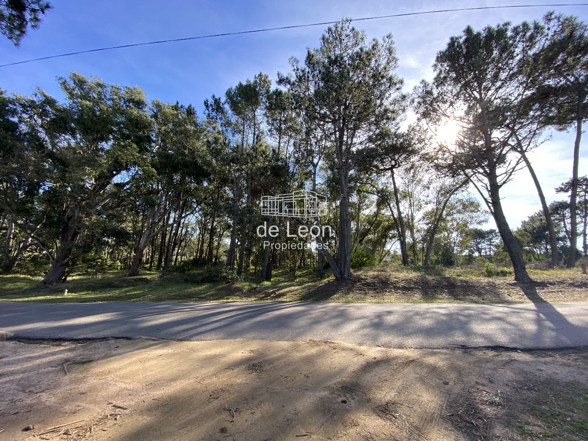 La Barra - GoPunta - Portal Inmobiliario de Punta del Este - Maldonado