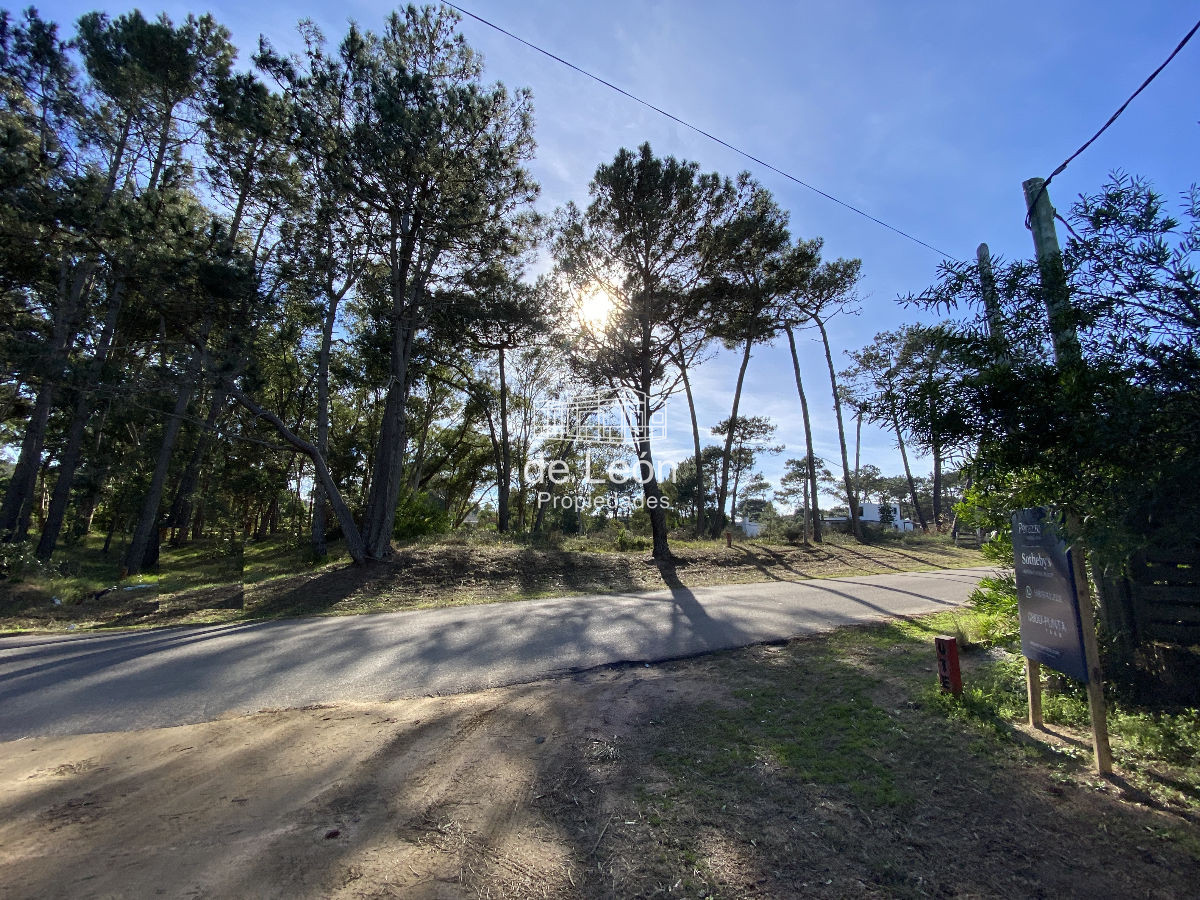 La Barra - GoPunta - Portal Inmobiliario de Punta del Este - Maldonado