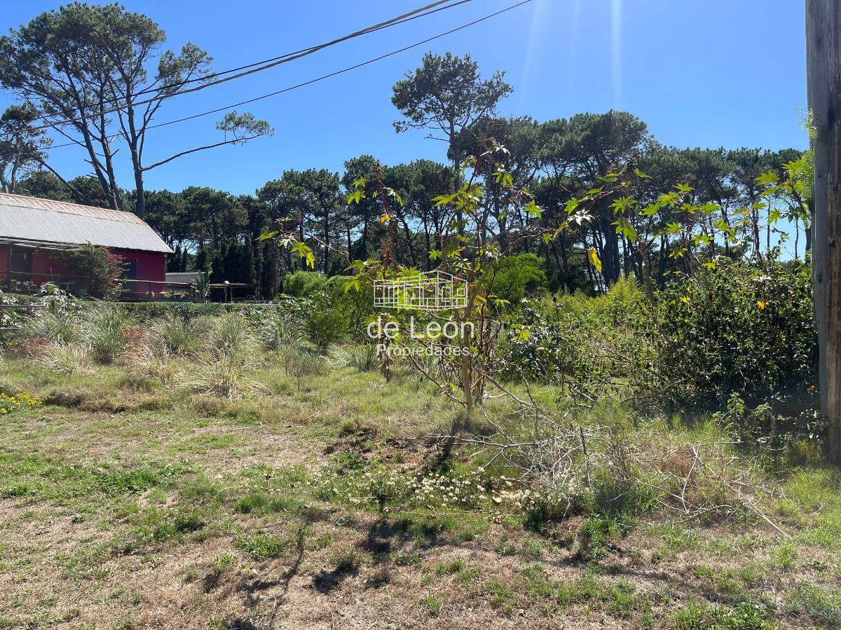 Terreno ID.1381 - Terreno en La Barra, Montoya