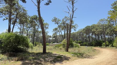 Exclusivo lote en Reserva Montoya, La Barra